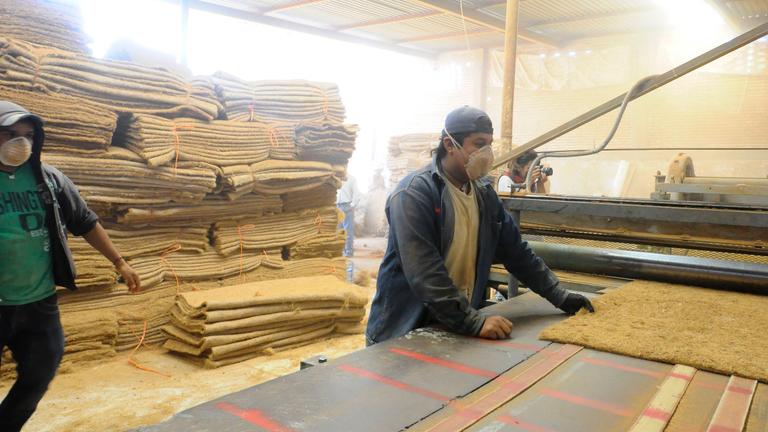 Meksiko: Pekerja produksi dan pemrosesan sabut. Serabut kelapa dikatakan membantu melindungi garis pantai dari erosi